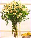 Flowers Shopping by Jumbo On-line Travel Agency